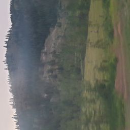 20230701_054352.jpg