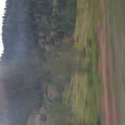 20230701_054359.jpg