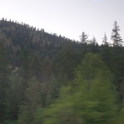 20230701_054440.jpg