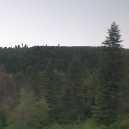 20230701_054450.jpg