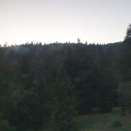 20230701_054557.jpg