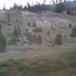 20230701_054721.jpg