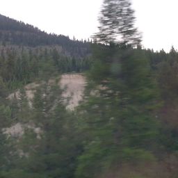 20230701_054844.jpg