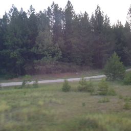 20230701_060019.jpg