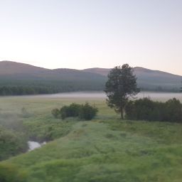 20230701_060249.jpg