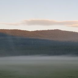 20230701_060315.jpg