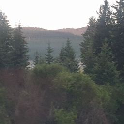 20230701_060322.jpg
