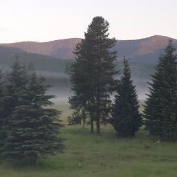 20230701_060333.jpg