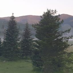 20230701_060335.jpg
