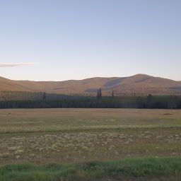 20230701_060900.jpg