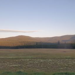 20230701_060907.jpg