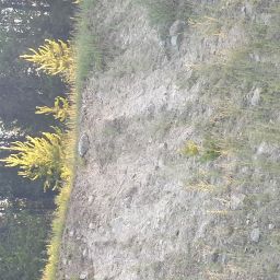 20230701_062300.jpg