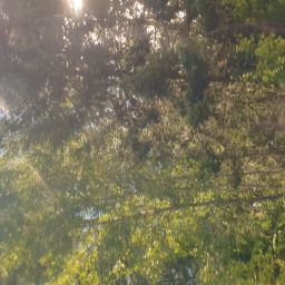 20230701_073331.jpg