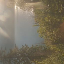 20230701_073334.jpg