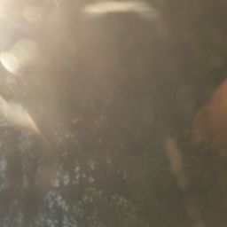 20230701_073338.jpg