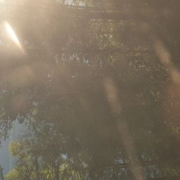 20230701_073356.jpg