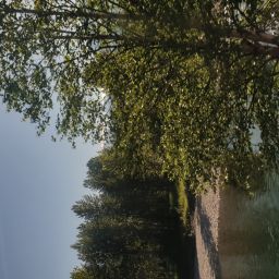 20230701_084703.jpg