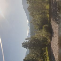 20230701_084704.jpg