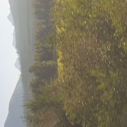 20230701_084741.jpg