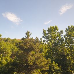 20230701_100957.jpg