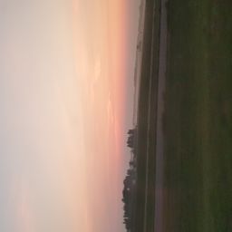 20230702_051956.jpg