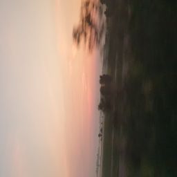 20230702_052005.jpg