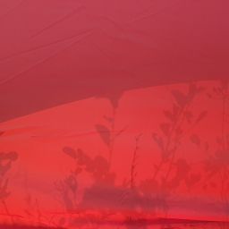 20230820_071920.jpg