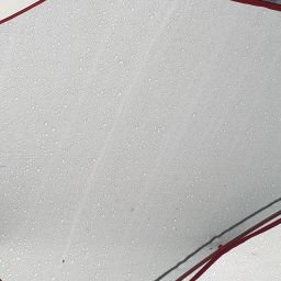 20230823_065316.jpg