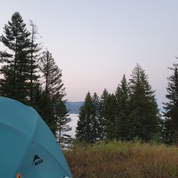 20230824_054017.jpg