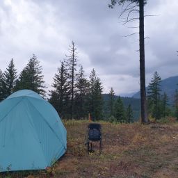 20230831_061546.jpg