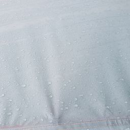20230919_090432.jpg