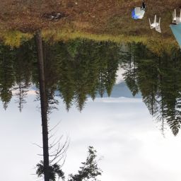 20230920_070240.jpg