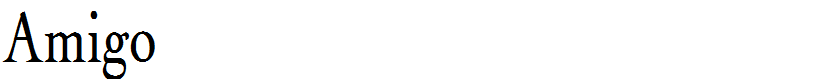 Amigo