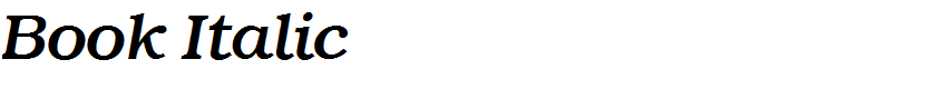 Book Italic