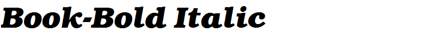 Book-Bold Italic