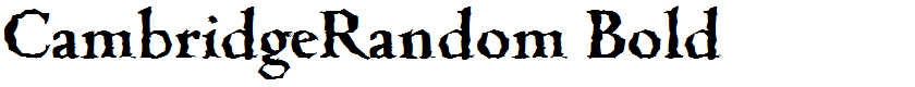 CambridgeRandom Bold