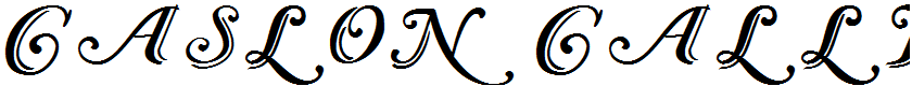 Caslon Calligraphic Initials Regular