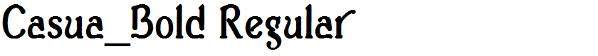 Casua_Bold Regular