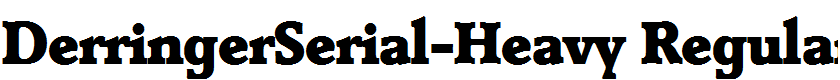 DerringerSerial-Heavy Regular