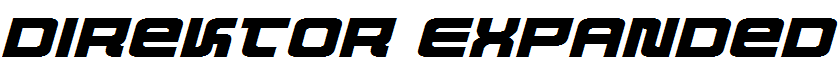 Direktor Expanded Italic Italic