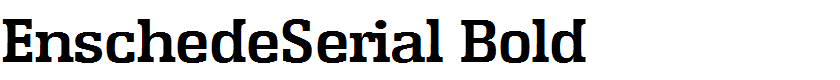 EnschedeSerial Bold