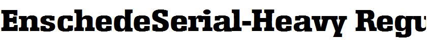 EnschedeSerial-Heavy Regular