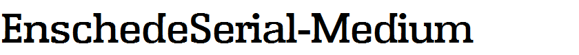 EnschedeSerial-Medium