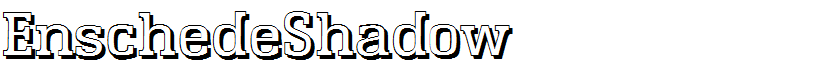 EnschedeShadow