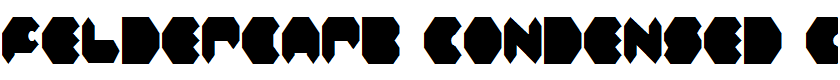 Feldercarb Condensed Condensed