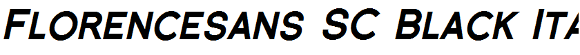 Florencesans SC Black Italic