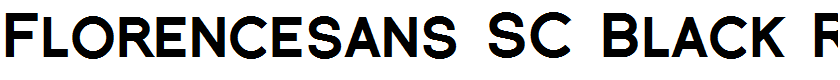 Florencesans SC Black Regular
