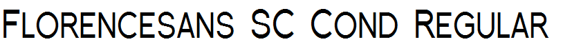 Florencesans SC Cond Regular