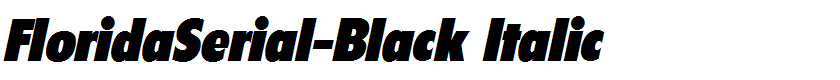 FloridaSerial-Black Italic