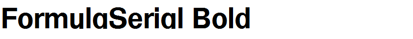 FormulaSerial Bold